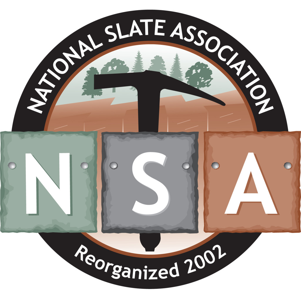 nsa logo